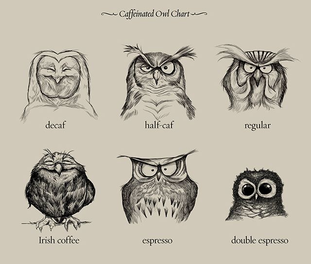Owl_coffe_chart.jpg
