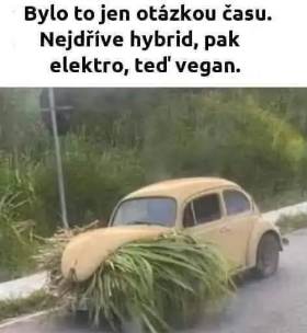 Vegan car.jpg