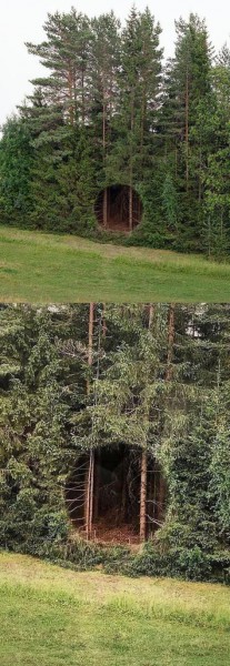 vstup_do_lesa-cikanske doupe.jpg