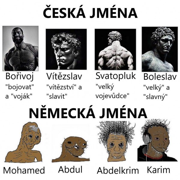 Jak se bude jmenovat.jpeg