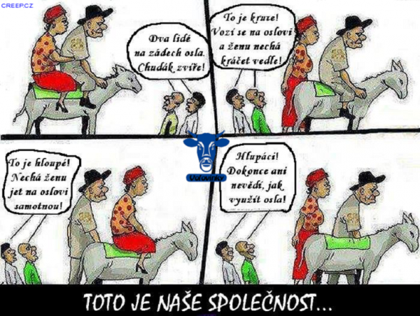 TohleJeNaseSpolecnost.png